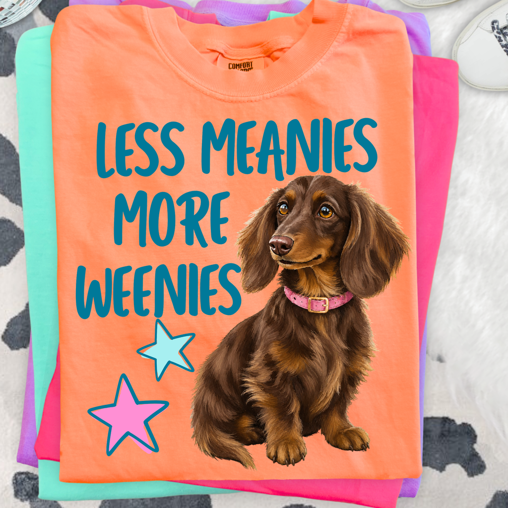 Less Meanies More Weenies Cute Dachshund PNG Design