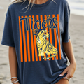 Tigers Blue and Orange PNG