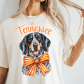 Tennessee Vols Preppy PNG Digital Download